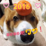 image1.jpeg