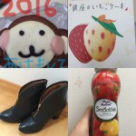 image1_2.jpeg