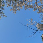 DSC_1601.JPG