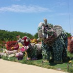 20170505_1204000.jpg