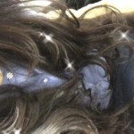 image1_14.jpeg